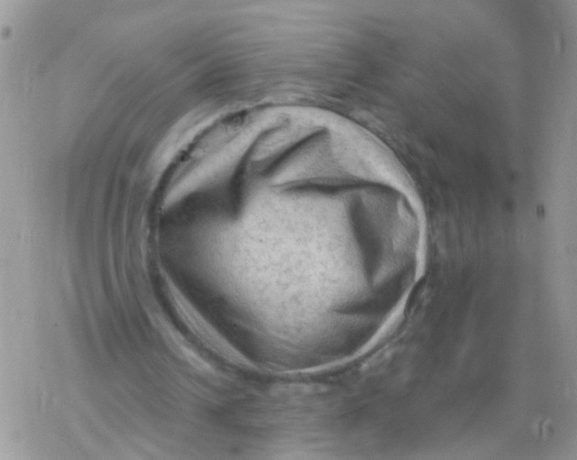 X0000078300242200611251515