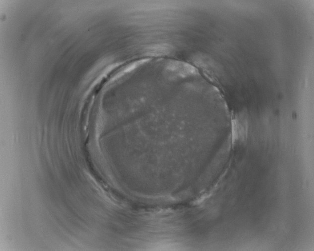 X0000078300243200611251515