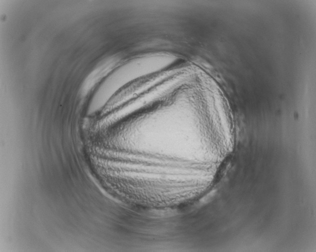 X0000078300245200611251515