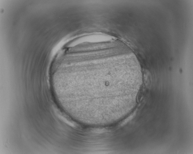 X0000078300246200611251515