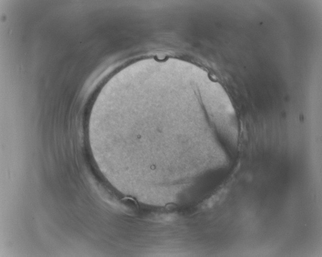 X0000078300247200611251515