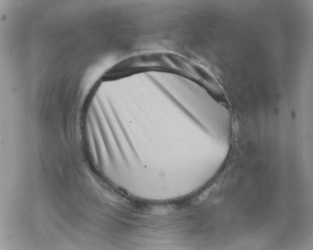 X0000078300248200611251515