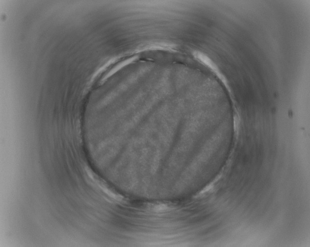 X0000078300249200611251515