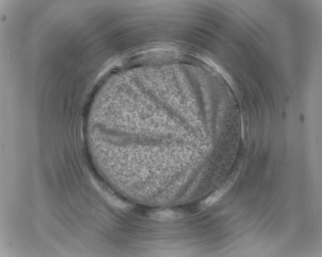 X0000078300253200611251516