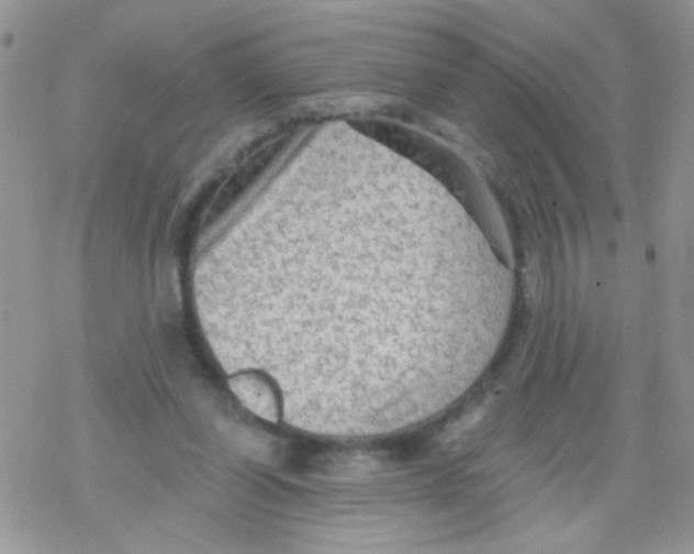 X0000078300254200611251516