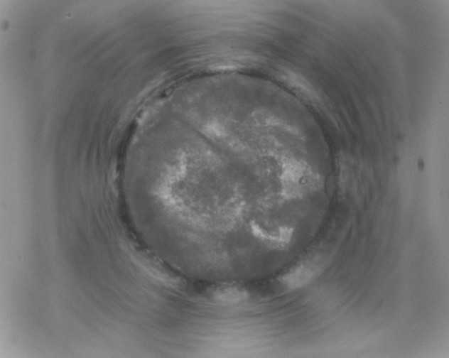 X0000078300258200611251516