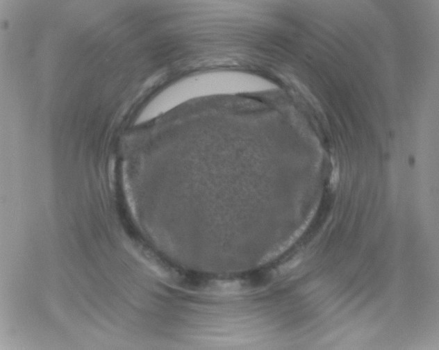 X0000078300260200611251516