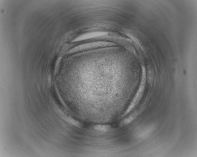 X0000078300261200611251516