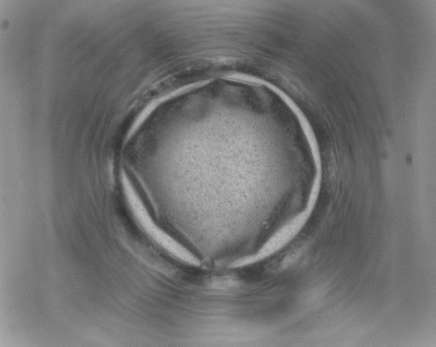 X0000078300262200611251516