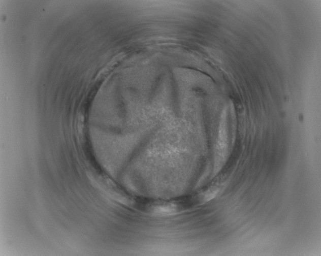 X0000078300263200611251516