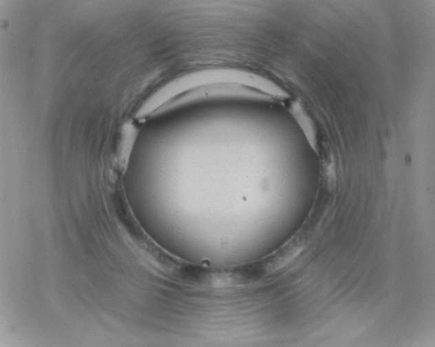 X0000078300264200611251516