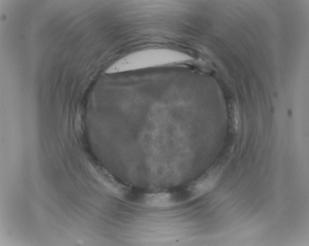 X0000078300266200611251516