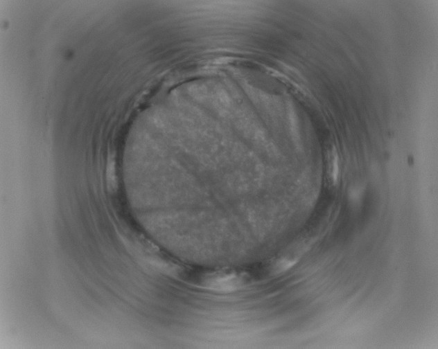 X0000078300267200611251516