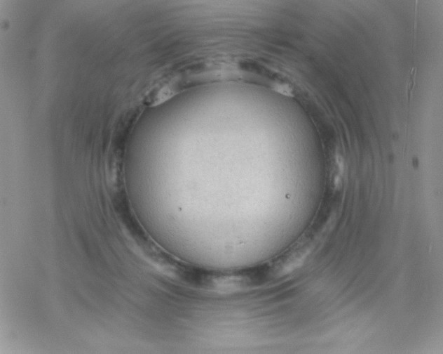 X0000078300268200611251516