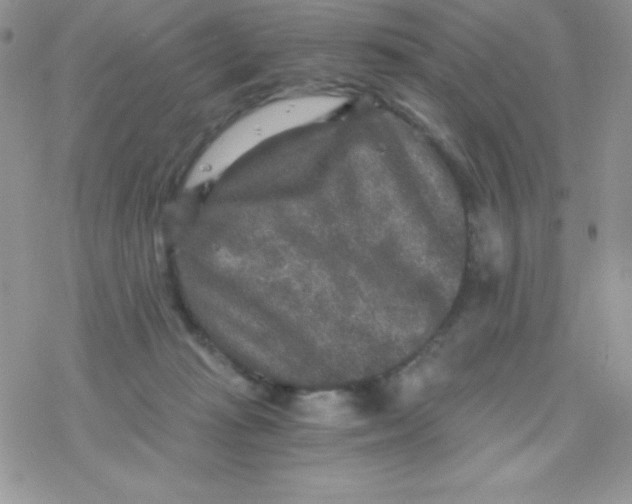 X0000078300269200611251516