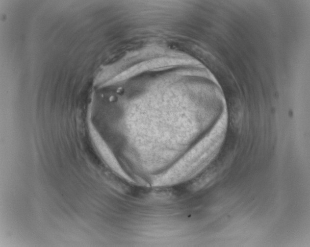 X0000078300270200611251516