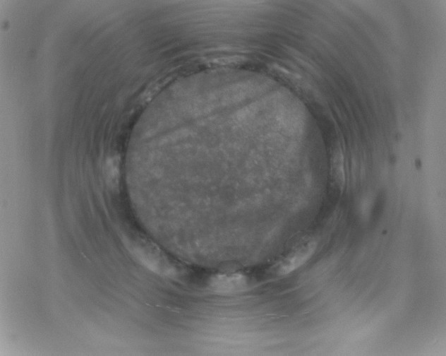 X0000078300271200611251516