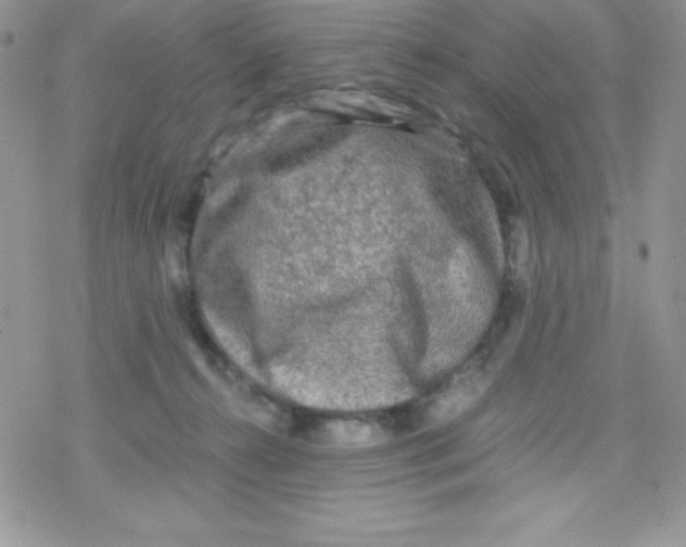 X0000078300272200611251516