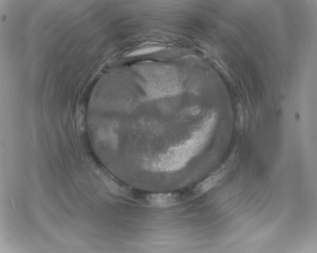 X0000078300273200611251516