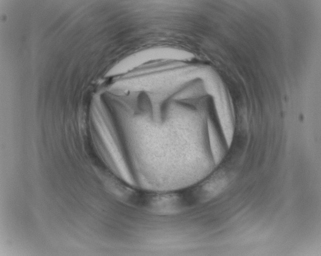 X0000078300274200611251516