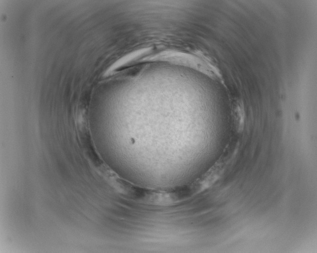 X0000078300276200611251516