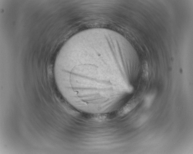 X0000078300278200611251516