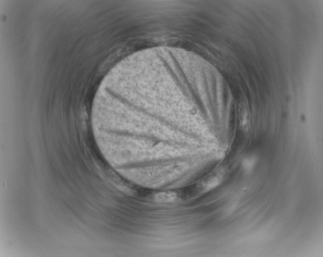 X0000078300279200611251516