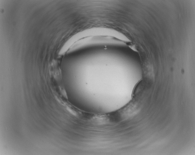 X0000078300280200611251516