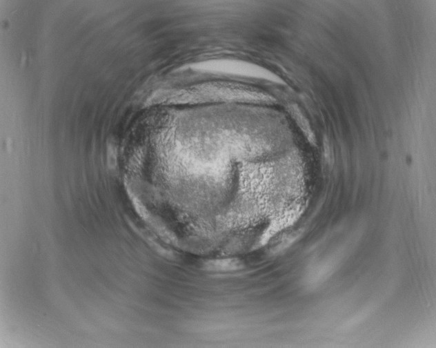 X0000078300281200611251516