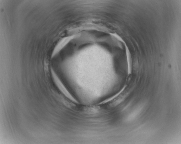 X0000078300282200611251516