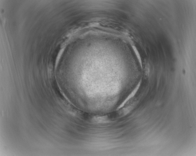 X0000078300283200611251516