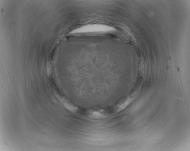 X0000078300285200611251516