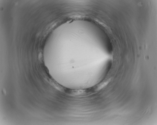 X0000078300288200611251516