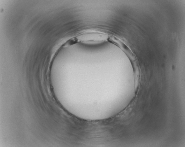 X0000078300289200611251515