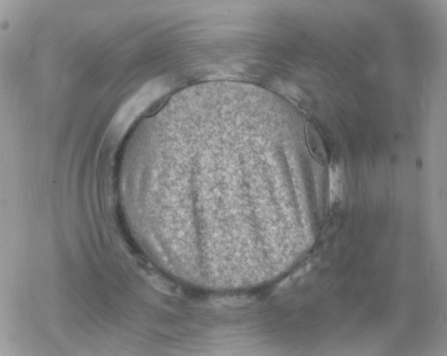 X0000078300291200611251515