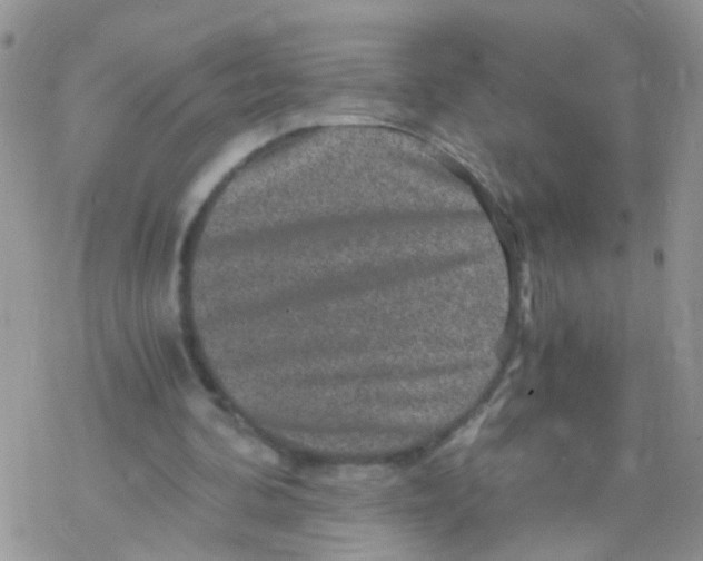 X0000078300292200611251515