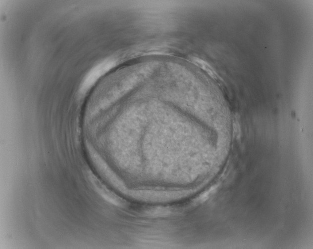 X0000078300293200611251515