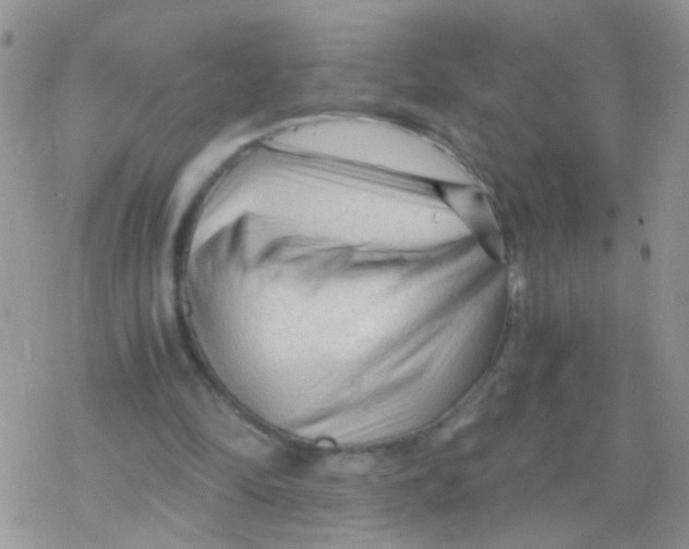 X0000078300294200611251515