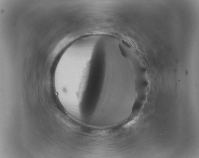 X0000078300295200611251515