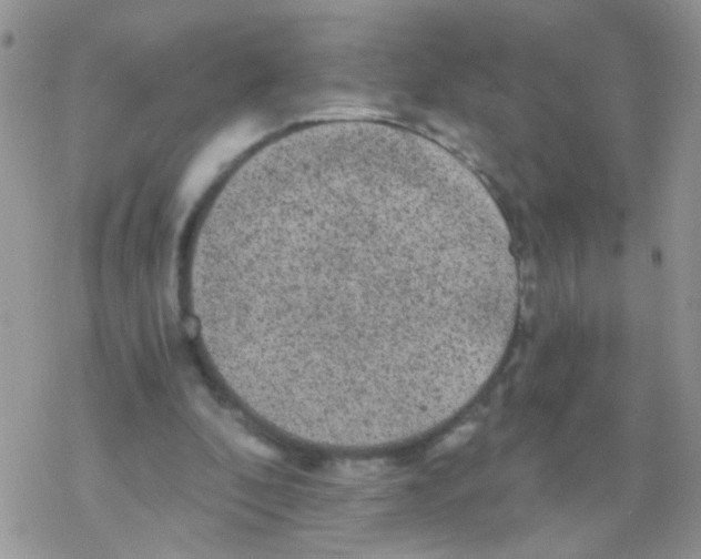 X0000078300296200611251515