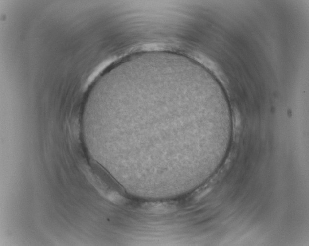 X0000078300297200611251515