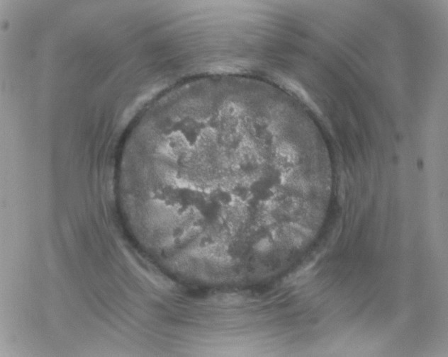 X0000078300299200611251515