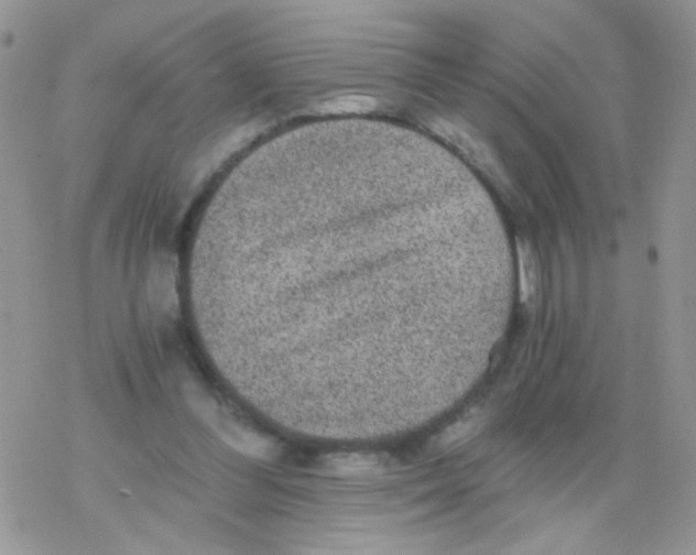 X0000078300300200611251515