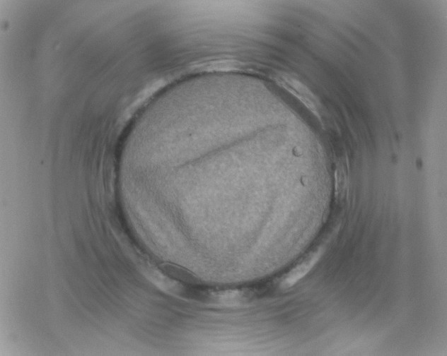 X0000078300301200611251515