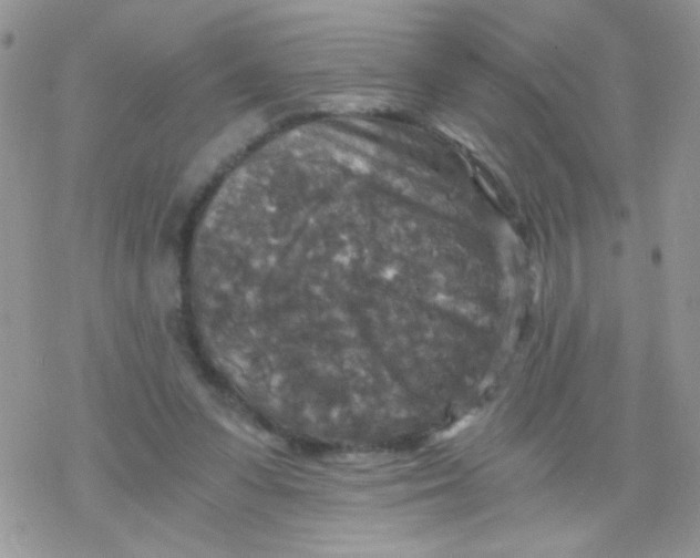 X0000078300303200611251515