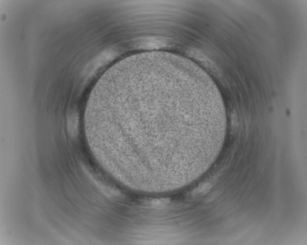 X0000078300304200611251515