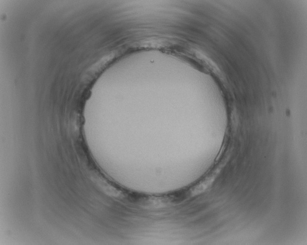 X0000078300305200611251515