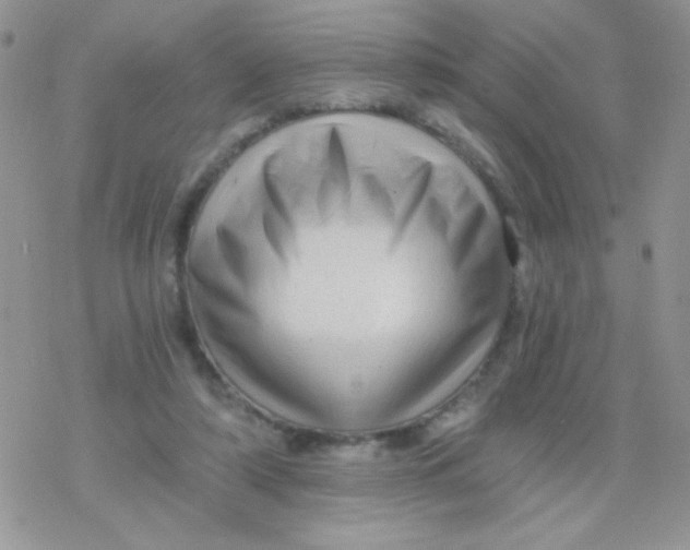 X0000078300306200611251515