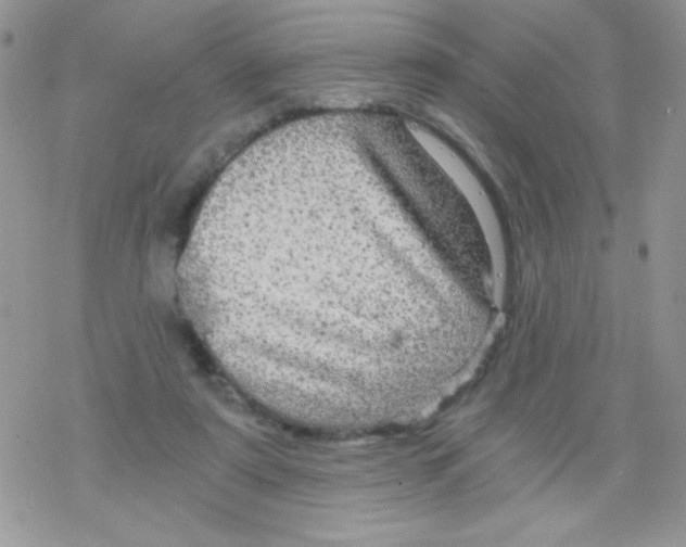 X0000078300307200611251515