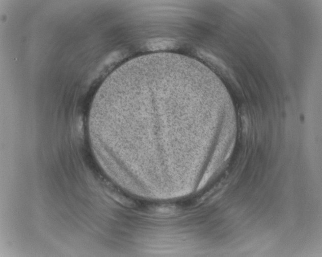 X0000078300308200611251515